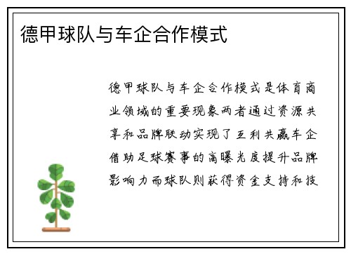德甲球队与车企合作模式